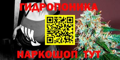 скорость Пушкино