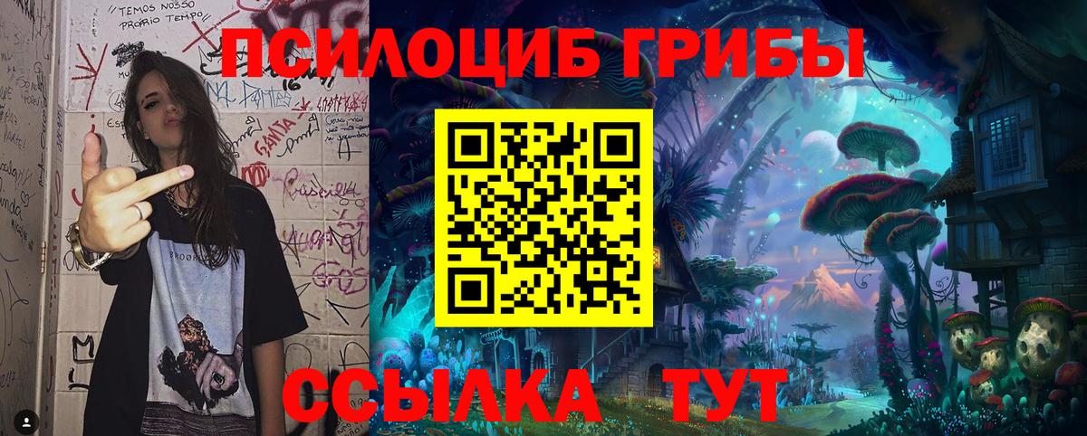 Псилоцибиновые грибы Psilocybine cubensis Алексеевка