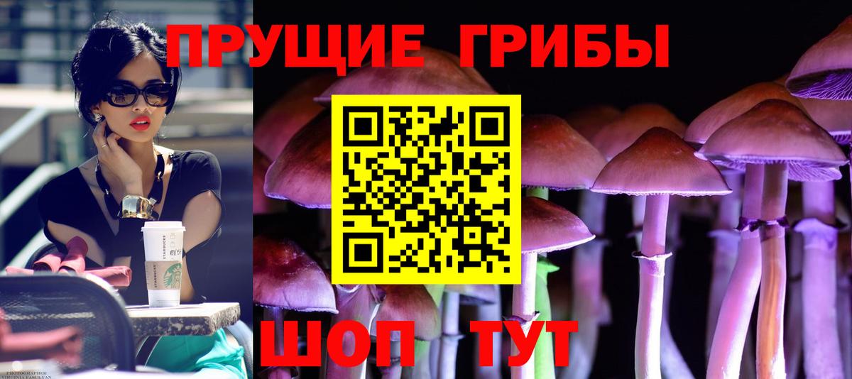 Алексеевка  Псилоцибиновые грибы GOLDEN TEACHER  Вход с VPN 